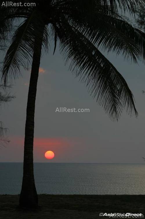 SALA Phuket Resort & Spa 48